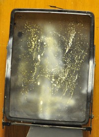 DSC 1081